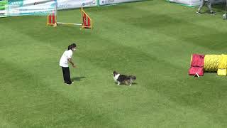 210904 노비스1 강채은 이브