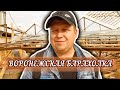 ВОРОНЕЖСКАЯ БАРАХОЛКА. ЗАКРЫВАЕТСЯ ИЛИ ВСЁ ТАКИ НЕТ?