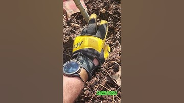 Your doing it wrong, how to mulch trees. #shorts #youtubeshorts #youtubeshorts #yout #reels