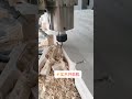 Woodworking machinery and equipment，Support customization of various sizes.#Automation Equipment