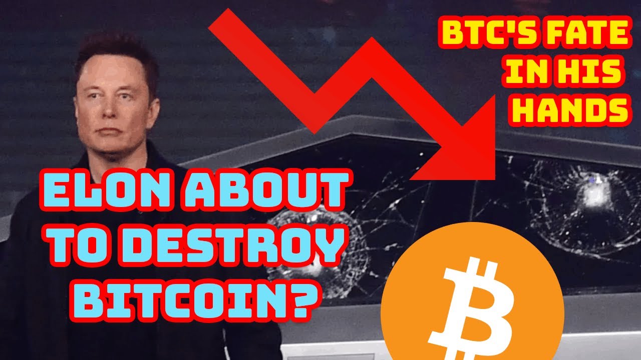 We Regret to Inform You... Elon Musk to DESTROY Bitcoin Before Halving?