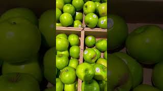 Granny Smith Apple #apple #fruits #shorts Granny Smith Apple #apple #fruits #shorts