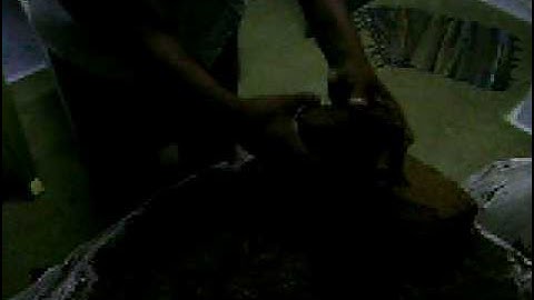 Coco Peat block breaking manually