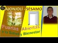 AJONJOLÍ: USOS Y BENEFICIOS - Luis Antonio Melón