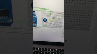 IMG 4242