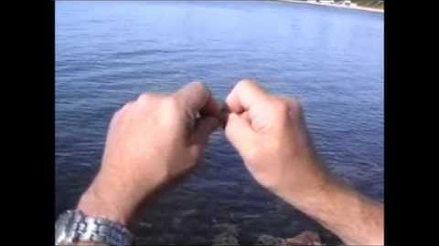 Adjustable Knotless Running Sinker rig