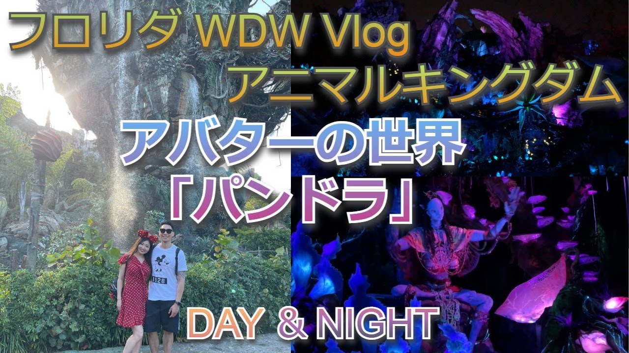 World of Avatar】Walt Disney World Animal Kingdom ''Pandora'' Vlog