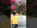 ١٩ يونيو ٢٠٢٥