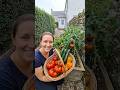 Kitchen Scraps Buried in Dirt Grew Into Tomatoes 🍅