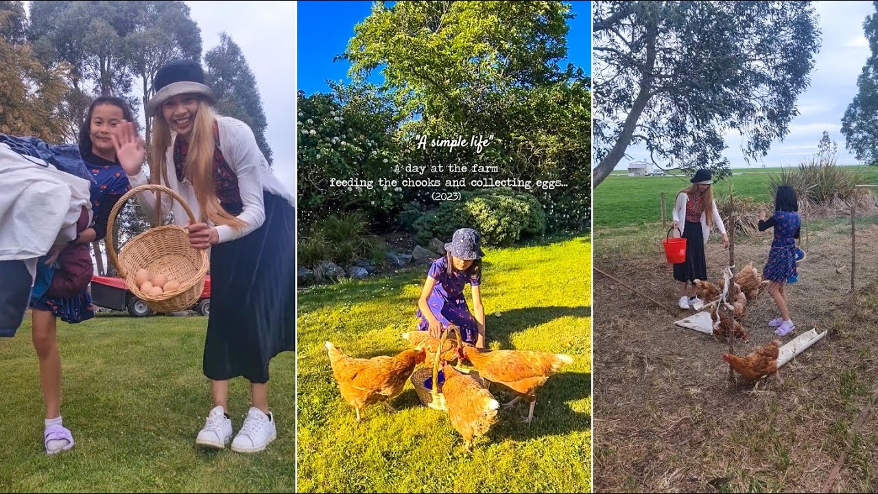 FEEDING OUR BACKYARD CHOOKS AND COLLECTING EGGS|A Simple Life