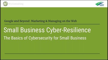 Small Business Cyber-Resilience: The Basics of Cybersecurity for Small Business