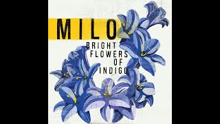 MILO - Bright Flowers of Indigo || [FULL ALBUM & LYRICS]