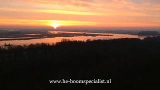 Hielke Engeltjes Boomspecialist & Tuinservice Promo Video