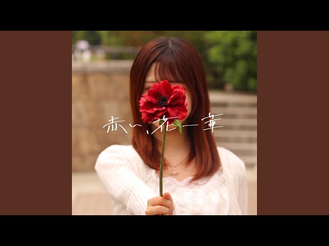 赤い、花一華 - YouTube