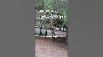 عبدالرحمن مسعد♥️🌺💕 قران كريم اللهم اجعل القرآن ربيع قلوبنا ونور صدورنا #سوره العنكبوت #راحة_نفسية#