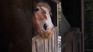 Ne Brini,Budi Sretan❤️🥰