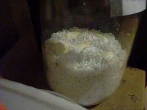 ssp: kingsnake egg incubation