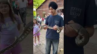 Holding a snake 🐍 #travel #viral #trending #shorts