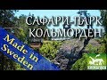 Made in Sweden. Сафари - канатная дорога  в зоопарке Кольмарден.