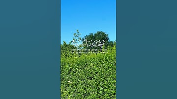سورة الكهف #quran #اكسبلور #tiktok #follow #tiktok #youtube