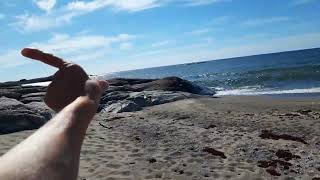 Sthml Ark Swim Retreat