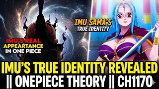 IMU IS THE DEVIL ITSELF || IMU'S TRUE IDENTITY REVEALED || ONEPIECE THEORY || CH1170
