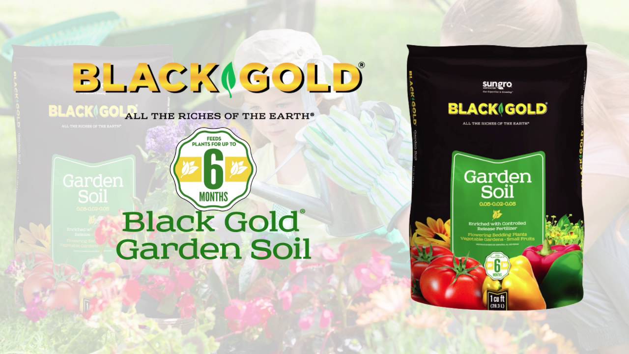 Black Gold Garden Soil for Better Gardening