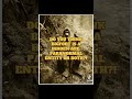 What do you think? #bigfoot #cryptid #paranormal #sasquatch #joerogan #jre #keephammering