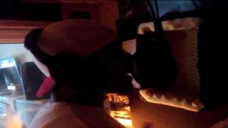 Island Trybe  "All My Life" (Dedication to Lessonz & Kuzzin Pizzo)