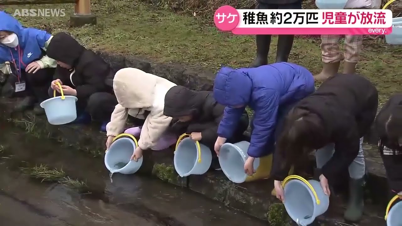「一匹でも多く帰ってきてほしい」サケの稚魚を放流　小学生が食文化の大切さを学ぶ　にかほ市