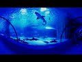 Aquarium Antalya 360