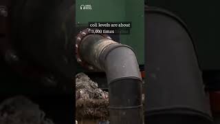 A pipe collapse has spilled over 300 million tons of sewage into the Potomac River.