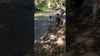 Play video: I should what?