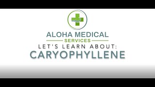 Let's Learn About  Caryophyllene
