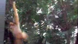 one arm monkey