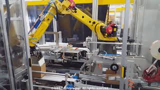 Vertical Robotic Case Packer for Serialized Pharmaceutical Cartons