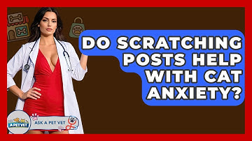Do Scratching Posts Help With Cat Anxiety? - Ask A Pet Vet