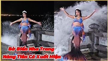 ✅Chấn Động Phát Hiện Nàng Tiên Cá Ở Biển Nha Trang Khiến Ai Cũng Tò Mò Chưa Hiểu Điều Gì