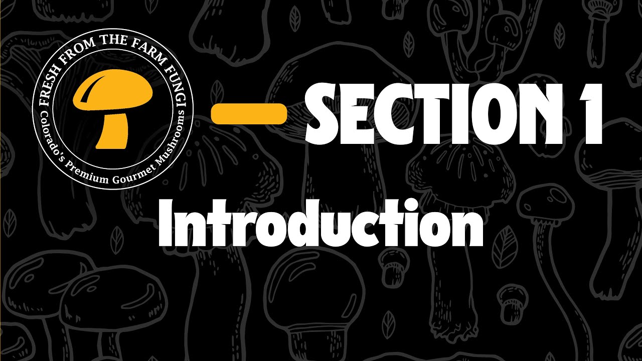 MUSHROOM FARM MASTERCLASS Section 1: Introduction - YouTube