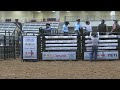 2023 american bucking bull inc spring fling amarillo tx