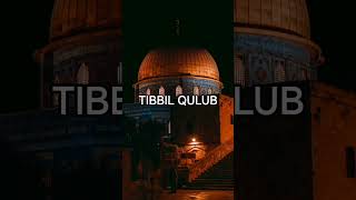Download Lagu \ MP3 Download Lagu \ MP3