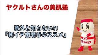 【ヤクルトさんの美肌塾】意外と知らない?!『朝イチ歯磨きのススメ』