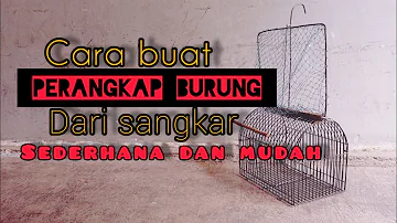 cara membuat perangkap burung dari sangkar.Sederhana dan mudah