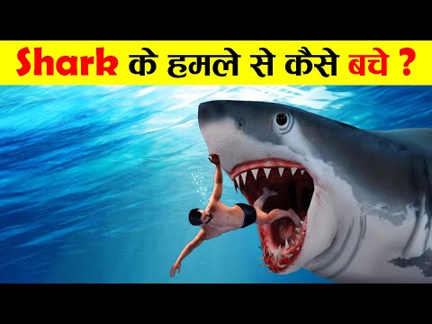 वीडियो: शार्क से कैसे बचें
