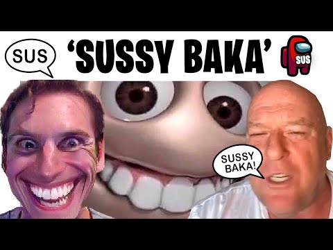 What is Sussy Baka? 