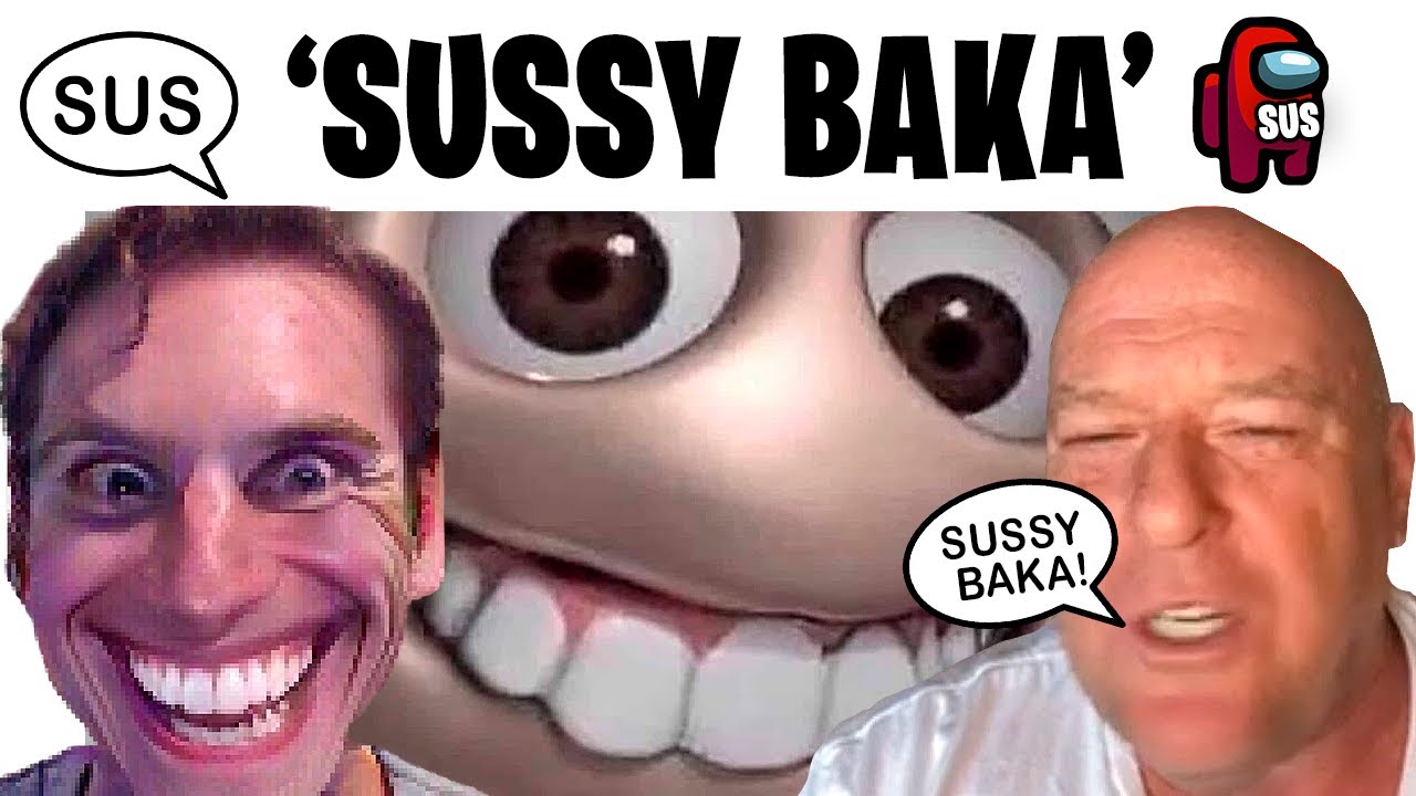 Qué significa Sussy Baka en TikTok?