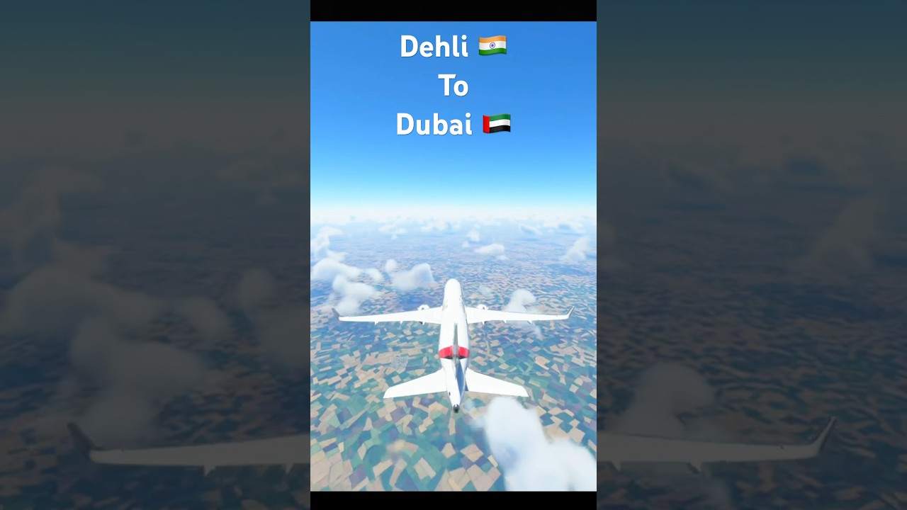 Dehli 🇮🇳 to Dubai 🇦🇪❤️ 
