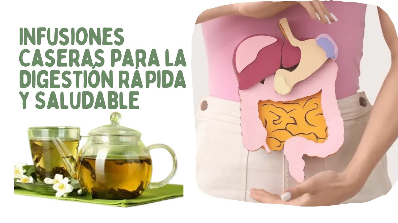 5 Infusiones Caseras para la Digestión Rápida y Saludable
