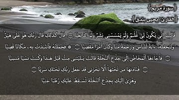 ما تيسر من سورة مريم بصوت (القارئ/يحيى بندق)