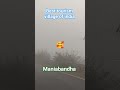 Fog in our village💓 Maniabandha💫 #headlight #fog #song #odisha #maniabandha